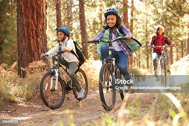 Grandparents With Children Cycling Through Fall Woodland Stock Photo - Download Image Now
