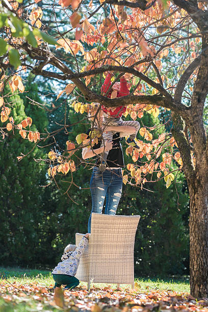 istock Mother and her two kids in autumn nature 514314878
