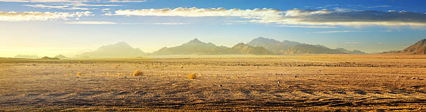 blick auf die wüste - african sunrise stock-fotos und bilder