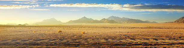 vue sur le desert - african sunrise photos et images de collection