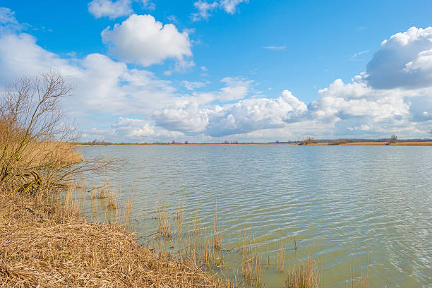 istock Shore of a lake in sunlight in winter 514315132