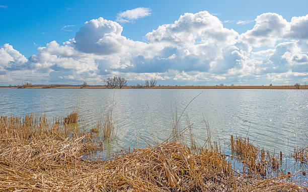 istock Shore of a lake in sunlight in winter 514315408