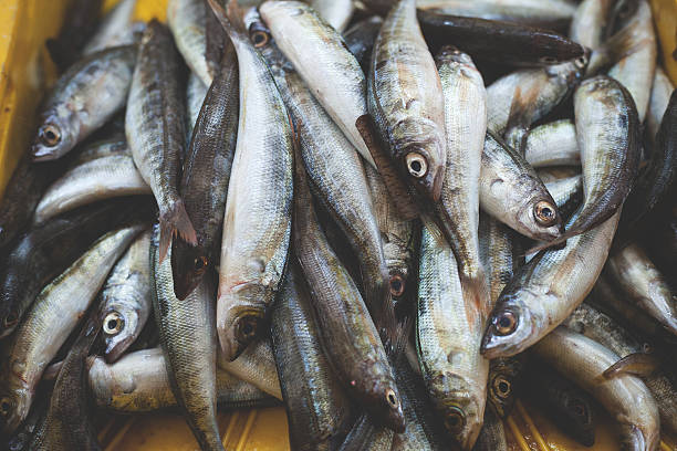 istock Dried fish at street market 514316046