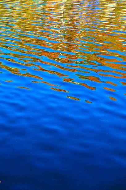 istock Fall Colors Reflecting in a Lake in Muskoka 514316242