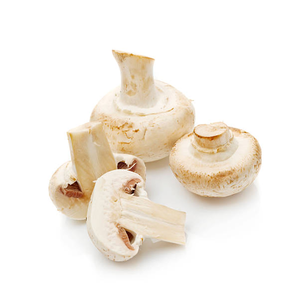 istock Fresh edible Portabello Mushroom Champignon over white backgroun 514318301
