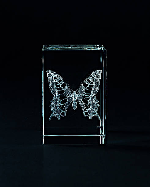 Laser engraving butterfly inside the glass on a black background.