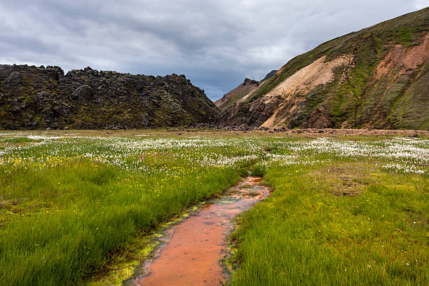 istock Multicolored mountains in Landmannalaugar 514318789