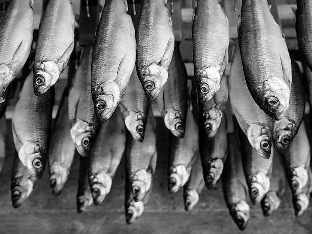 Dried fish hanging on a rope