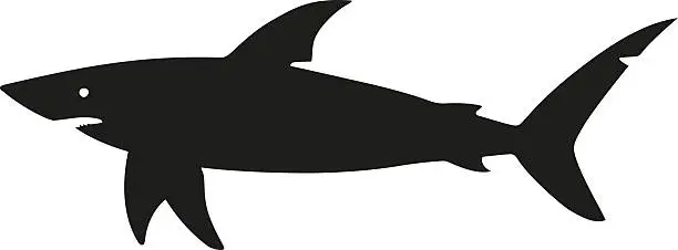 Vector illustration of Shark silhouette