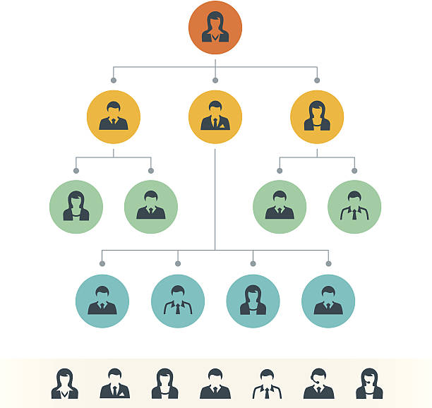 ilustraciones, imágenes clip art, dibujos animados e iconos de stock de gráfico de la organización - flow chart illustrations