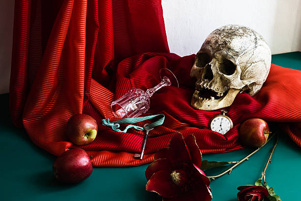 naturaleza muerta con cráneo en el estilo de vanitas - vanitas fotografías e imágenes de stock