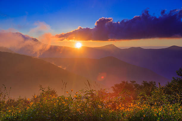 Nature Landscape flowers and mountians sunrise