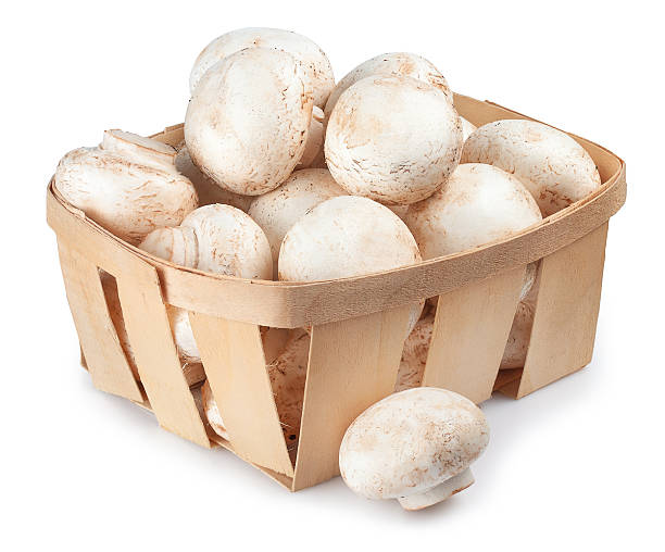 seta champiñones en una cesta aislado sobre fondo blanco - edible mushroom white mushroom isolated white fotografías e imágenes de stock