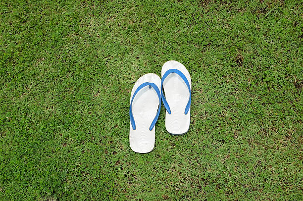 istock Wear sandals on a casual day 514321639