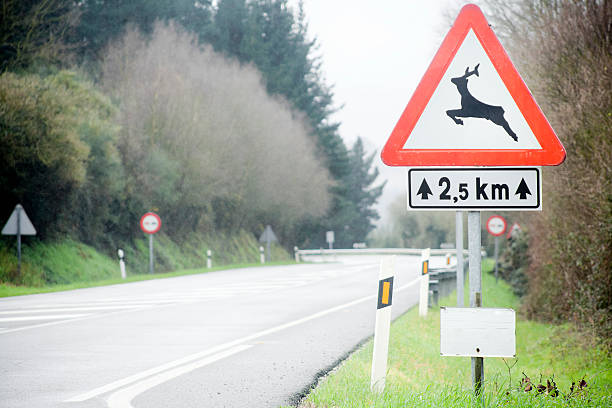 istock Wild animals road warning sign. 514322046