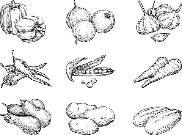 Vegetables  Vector set 1 of vegetables at engraving style. engraving food onion engraved image stock illustrations