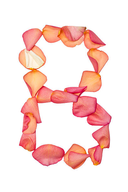 istock B letter made of pink rose petal 514323340
