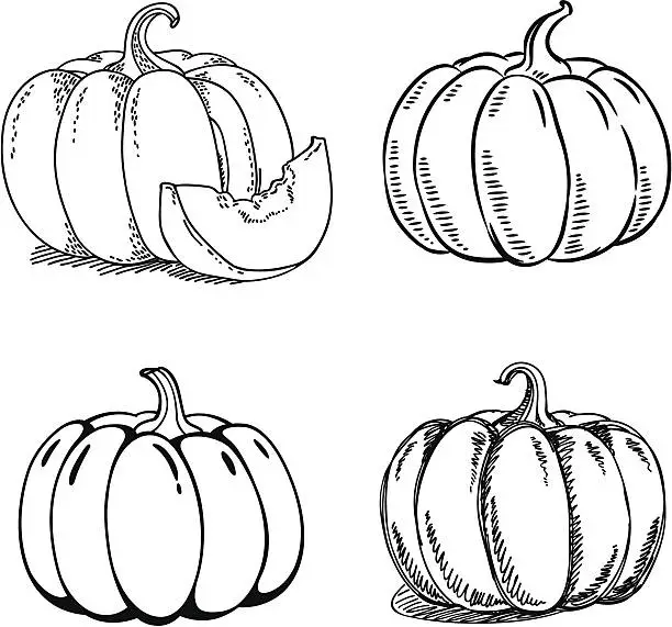 Vector illustration of Pumpkin