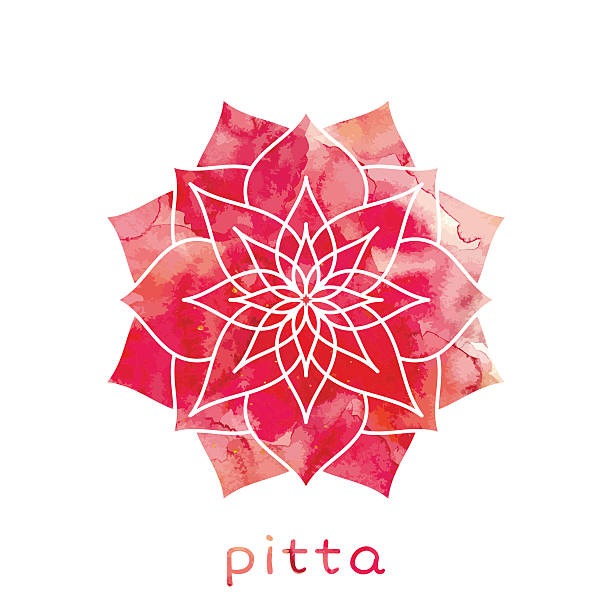 ilustraciones, imágenes clip art, dibujos animados e iconos de stock de pita dosha ayurvédica tipo de cuerpo - pitta dosha
