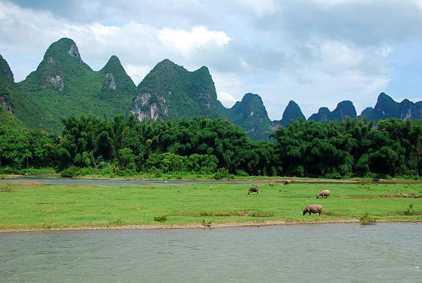 istock The beautiful landscape of Li river 514325282