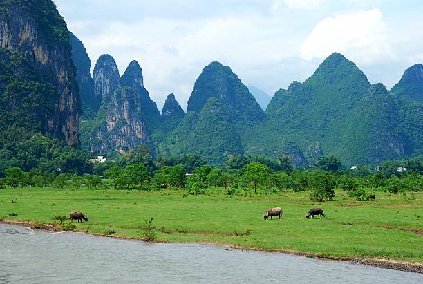 istock The beautiful landscape of Li river 514326254