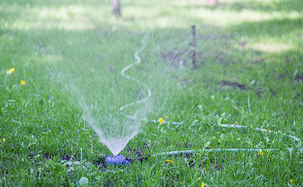 istock sprinkler watering the green grass 514329254