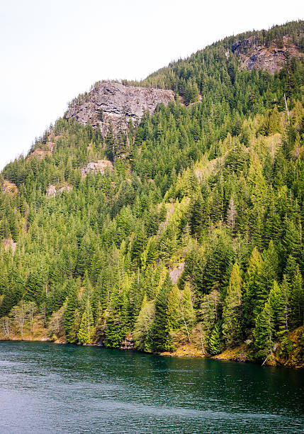 istock North Cascades National Park 514329838