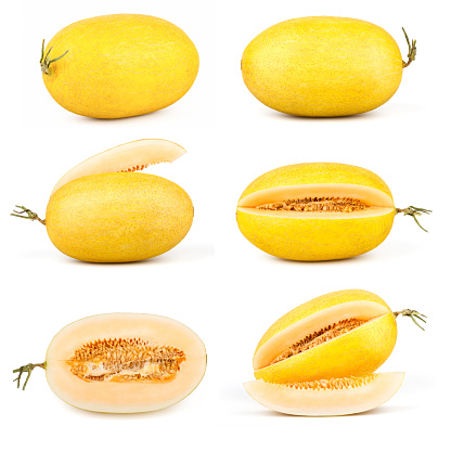 A set of fresh yellow sweet melon isolted on white background.