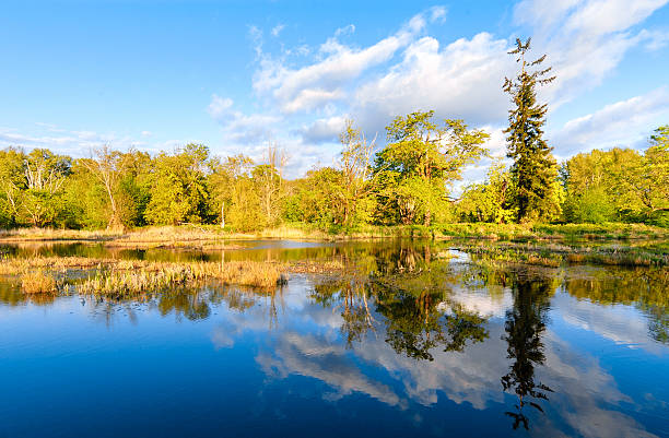 istock Nisqually National Wildlife Refuge 514330938