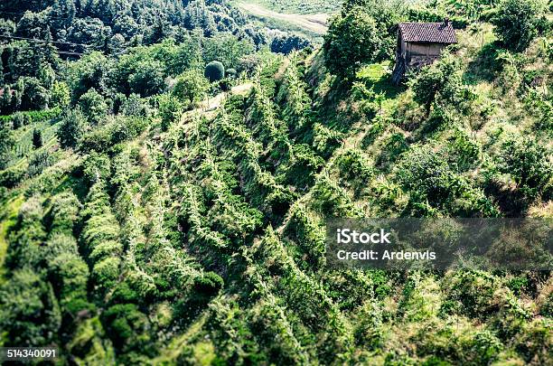 Montevecchia Hill In Estate Con Vigneti - Fotografie stock e altre immagini di Colore verde - Colore verde, Lecco - Lombardia, Montagna