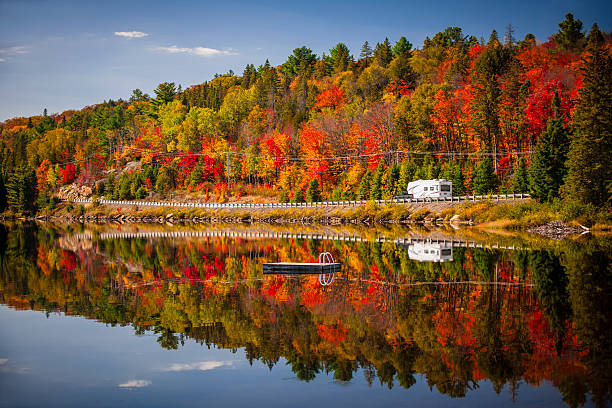 highway durch den herbst wald - parks canada stock-fotos und bilder