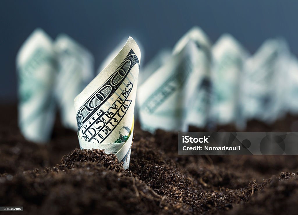 American dollars grow from the ground Garden bed of american dollars Agriculture Stock Photo