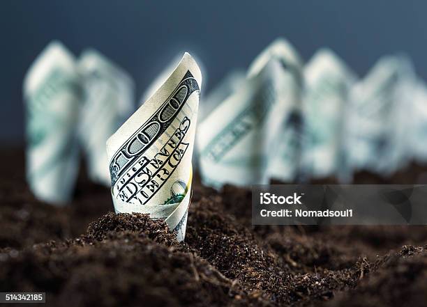 American Dollars Grow From The Ground Stock Photo - Download Image Now - Agriculture, Backgrounds, Bed - Furniture