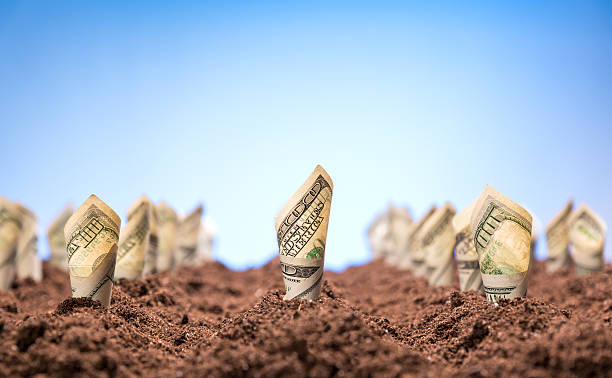istock American dollars grow from the ground 514342189