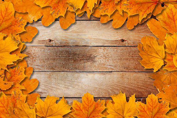istock Bright fallen autumn leaves on a wooden background 514344145