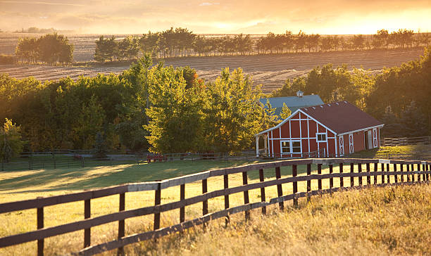 iluminação de celeiro vermelho na savana no outono nos eua - alberta prairie farm fence - fotografias e filmes do acervo