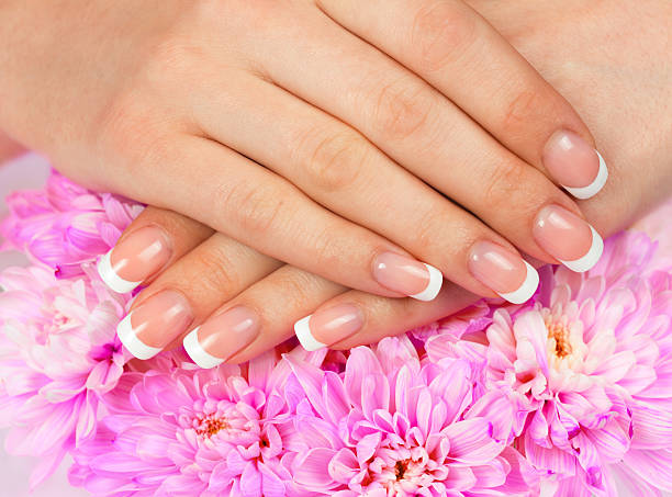 istock Woman's hands on rose chrysanthemum flower 514345297