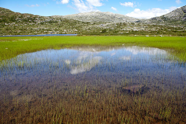 istock Panoramic view of a pure lake and mountain range 514345707