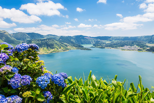 Lake of Sete Cidades with hortensia's, Azores, Portugal Europe