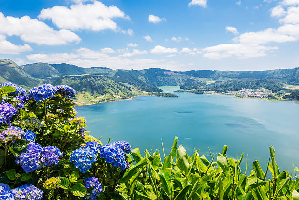 lago de sete cidades com hortensia s, açores, portugal europa - açores imagens e fotografias de stock