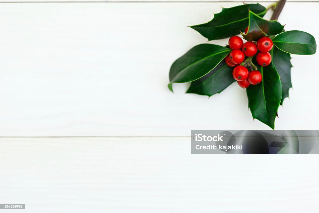 Acebo de Navidad - Foto de stock de Muérdago libre de derechos
