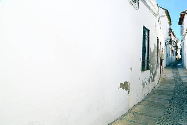istock Alley in Cordoba, Spain 514364419
