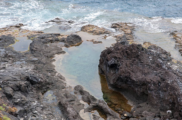 istock rocky beach of Tenerife 514365895