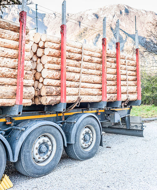 istock Trucks charged with wood logs waiting for delivery 514367446