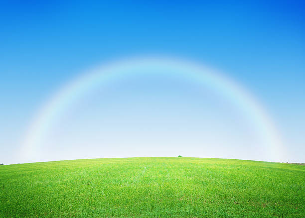istock Green grass field and deep blue sky with rainbow 514369452