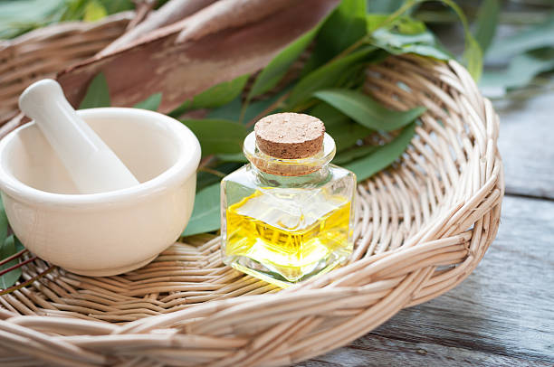 Eucalyptus leaves and essential oil on wooden cutting board. stock photo