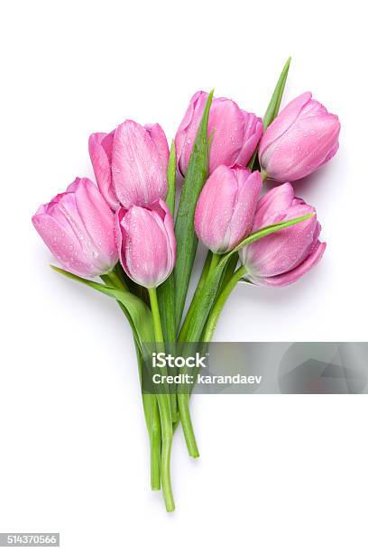 Frische Rosa Tulpe Blumen Stockfoto und mehr Bilder von Tulpe - Tulpe, Blumenstrauß, Blumenbouqet