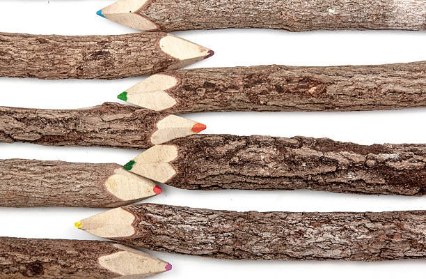 istock Colored Pencil Crayons Set in Natural Wooden Sticks 514371628