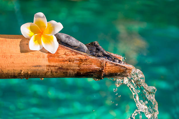 бамбук фонтан крупным планом, плюмерия цветок - bamboo zen like buddhism spa treatment стоковые фото и изображения