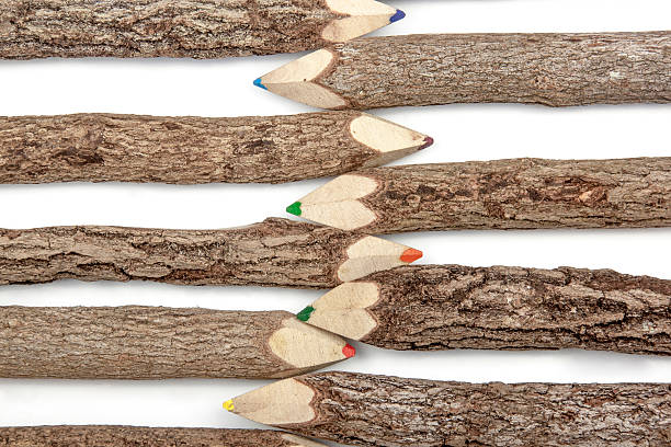 istock Arrangement of Sharpened Bark Covered Pencil Crayons 514372034